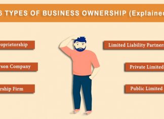 types of business ownerships in India