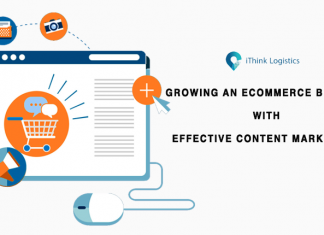 growing an ecommerce business with effective content marketing