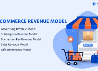 Types of eCommerce Revenue Model